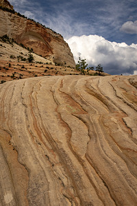 Zion to the Sky by Kelley McClure