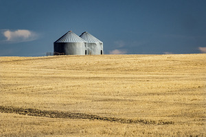 Farm Country USA by Kelley McClure