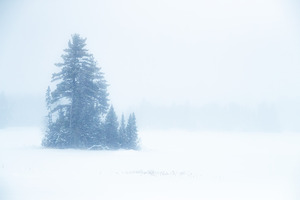 Snowy Frozen Minnesota Island by Kelley McClure