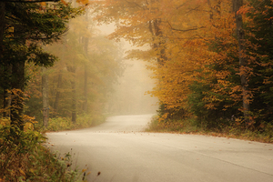 Fall In Door County Wisconsin by Kelley McClure