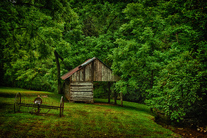 Tennessee Farm Country by Kelley McClure