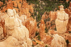Bryce Canyon National Park by Kelley McClure