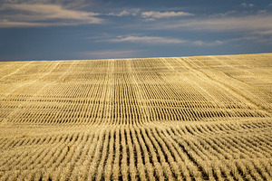 South Dakota Farm Country by Kelley McClure