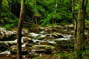 Smoky Mountain Stream Tennessee by Kelley McClure