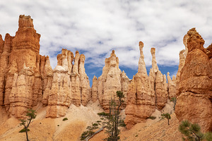 The Hoodoos of Bryce