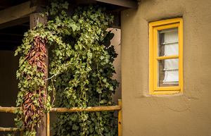 Santa Fe Chili Peppers