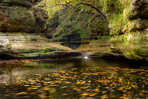 Fall In the Canyon by Kelley McClure