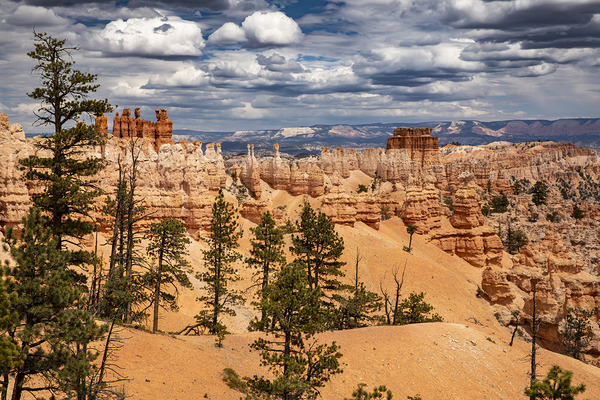 Bryce Canyon National Park Vista Print
