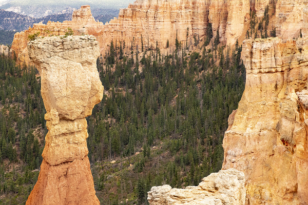 Bryce Canyon National Park Window Print