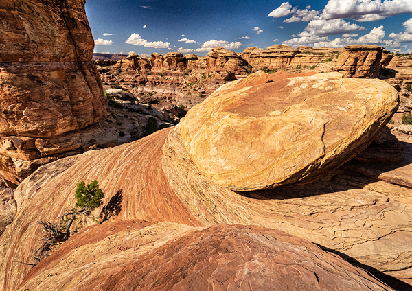 Canyonlands Outcrop Print