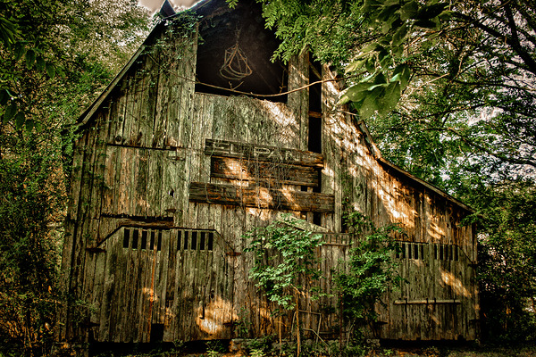 Tennessee Rustic Barn Print