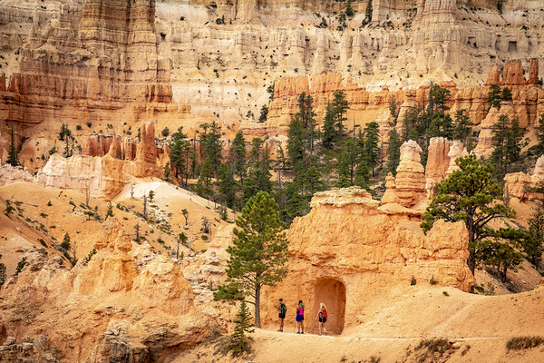 The Pathways of Bryce Print