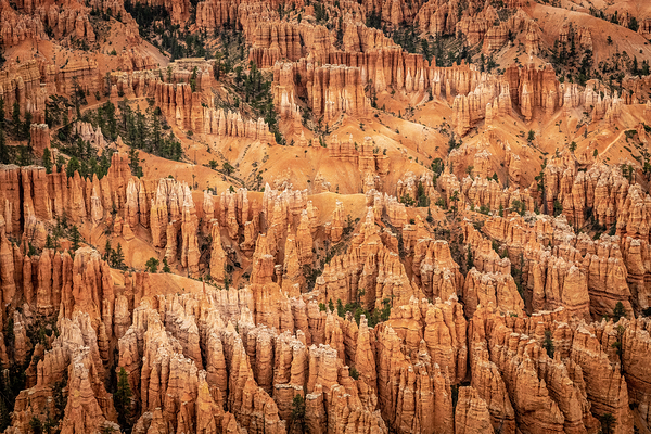 Hoodoos Over Utah Print