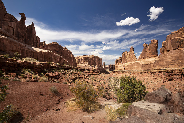 Arches National Park Wall Street Print