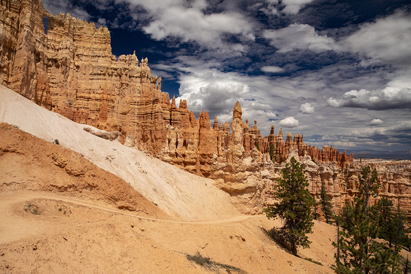 Bryce Canyon National Park Trail to the Sky Print