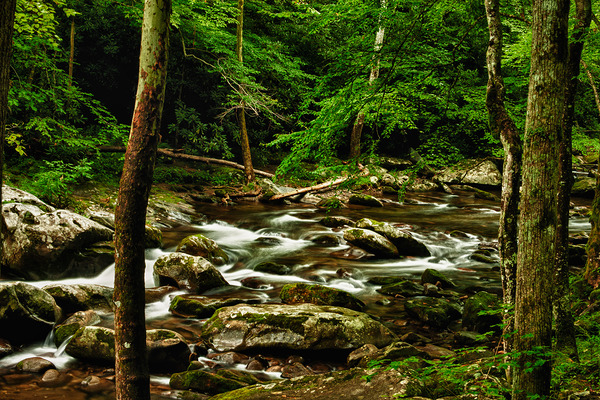 Smoky Mountain Stream Tennessee Print
