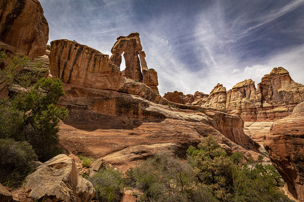 Druid Arch Canyonlands Print