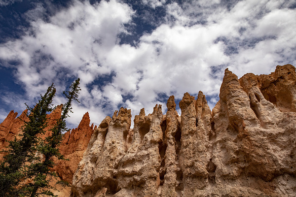 Towering Bryce Print