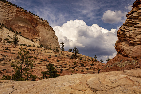 Zion National Park Window to Heaven Print