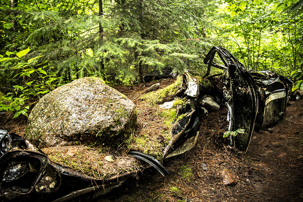 Boulder Car in Nature Print