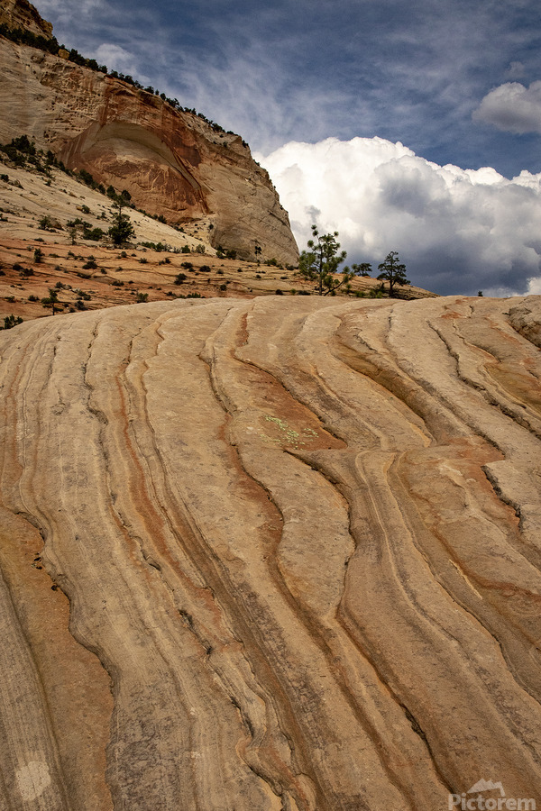 Zion to the Sky  Print