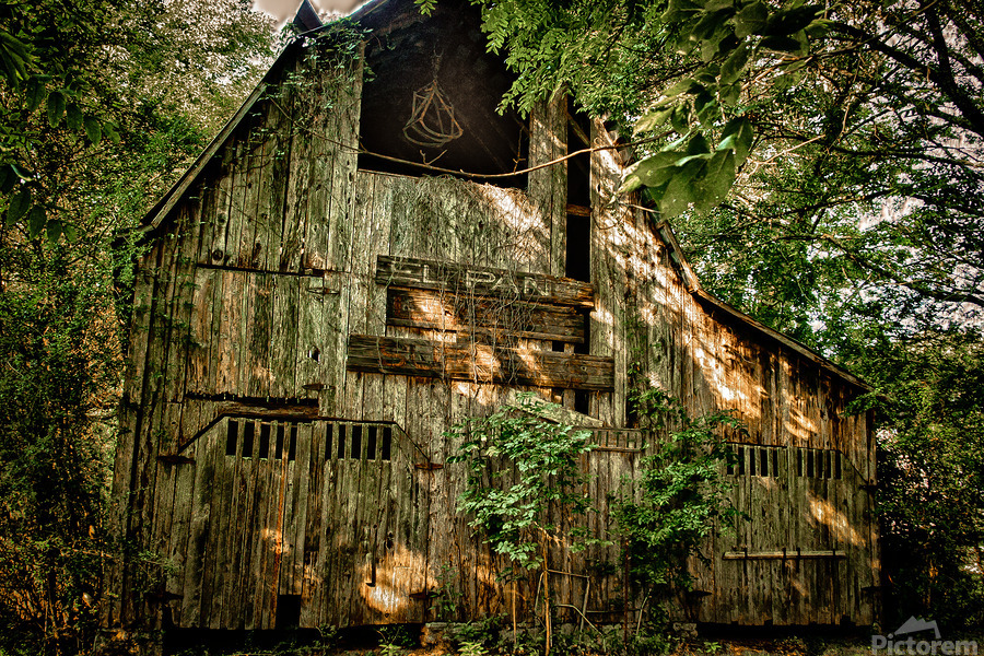 Tennessee Rustic Barn  Print