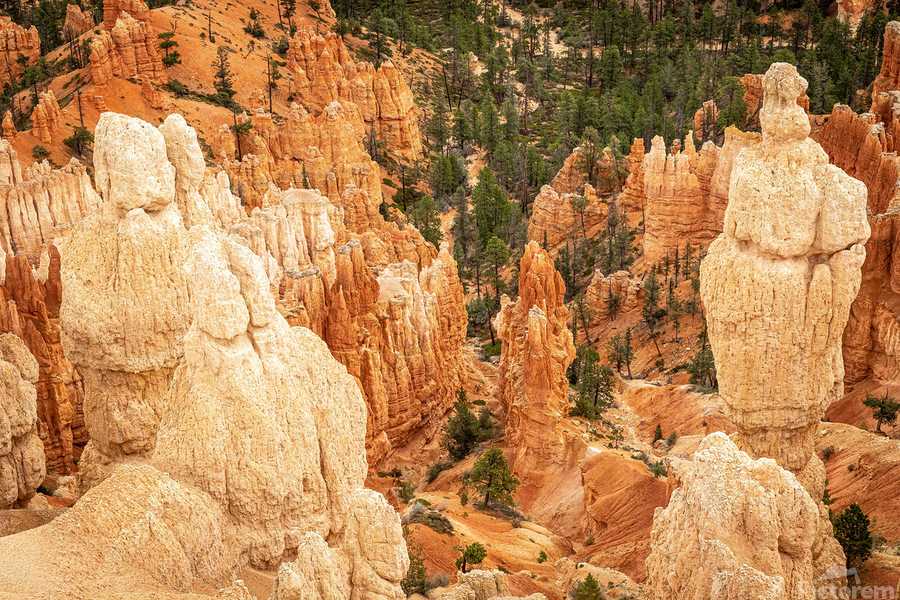 Bryce Canyon National Park  Print