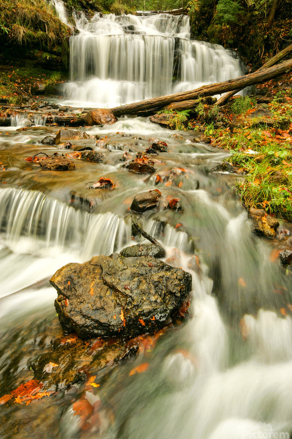 Splendors of Fall  Print