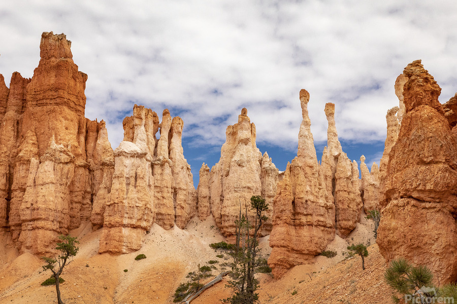 The Hoodoos of Bryce  Print
