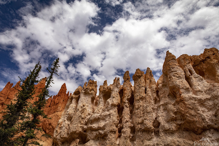 Towering Bryce  Imprimer