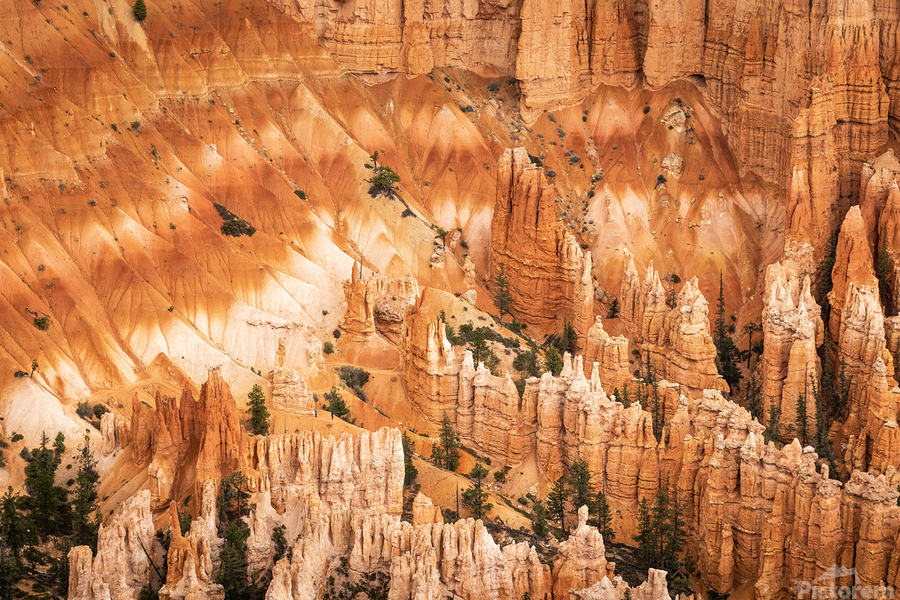 Bryce Canyon Theater  Print