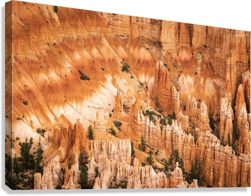 Bryce Canyon Theater Canvas Print