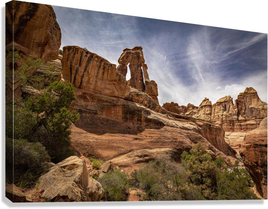 Druid Arch Canyonlands Canvas Print