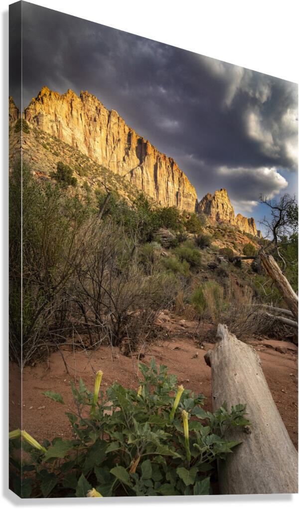 The Watchman of Zion Canvas Print