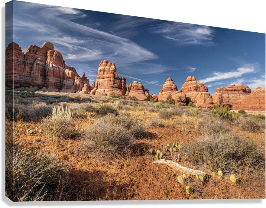 Canyonlands Theater Canvas Print