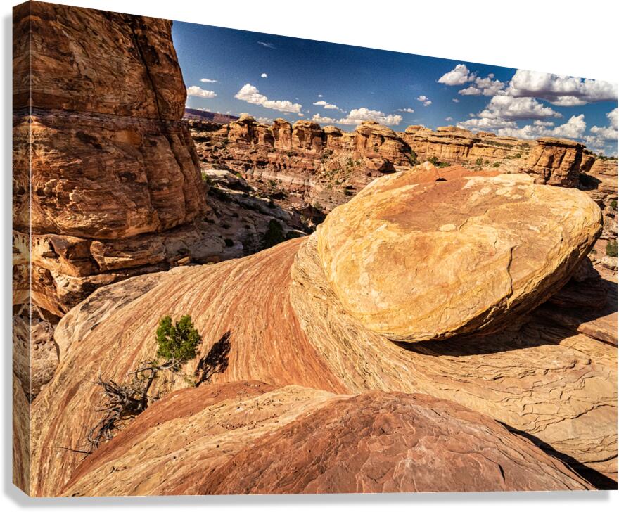 Canyonlands Outcrop Canvas Print