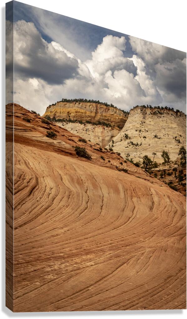 Zion Towers Canvas Print