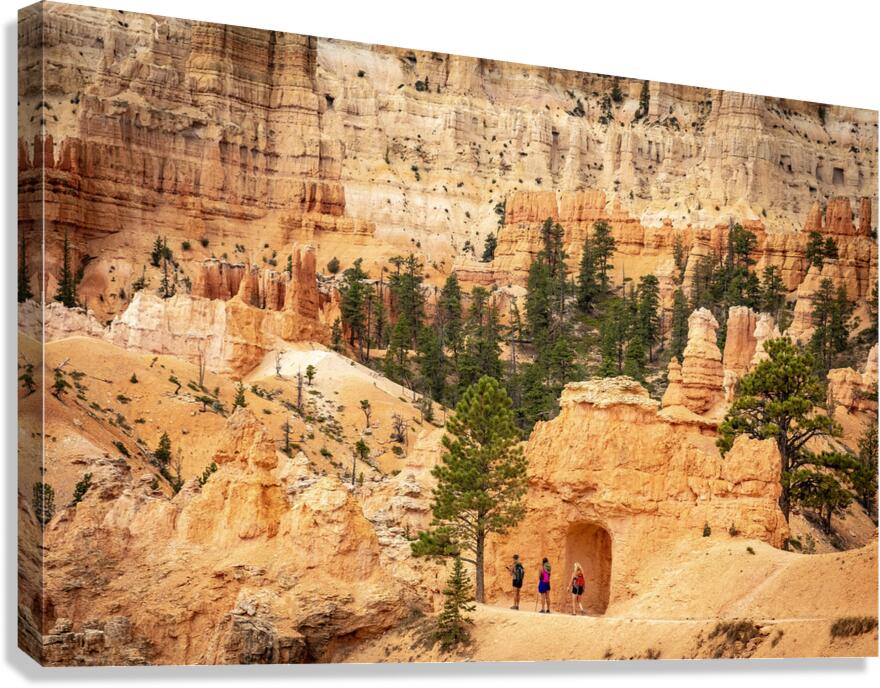 The Pathways of Bryce Canvas Print