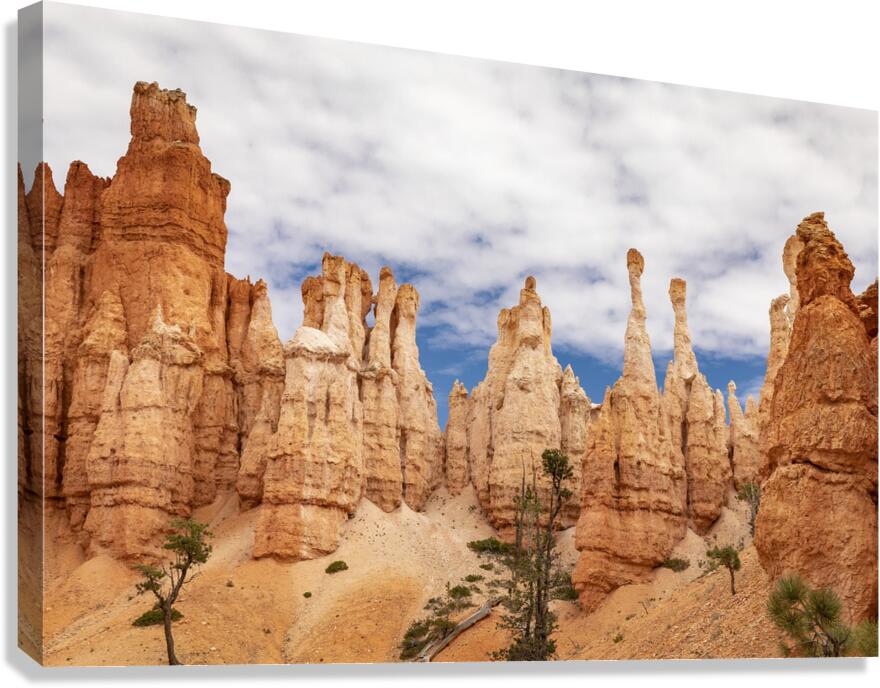 The Hoodoos of Bryce Canvas Print