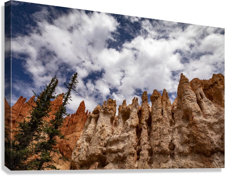 Towering Bryce Canvas Print