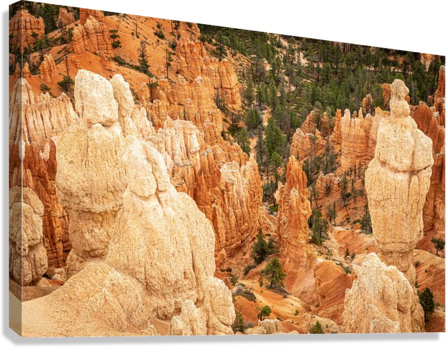 Bryce Canyon National Park Canvas Print
