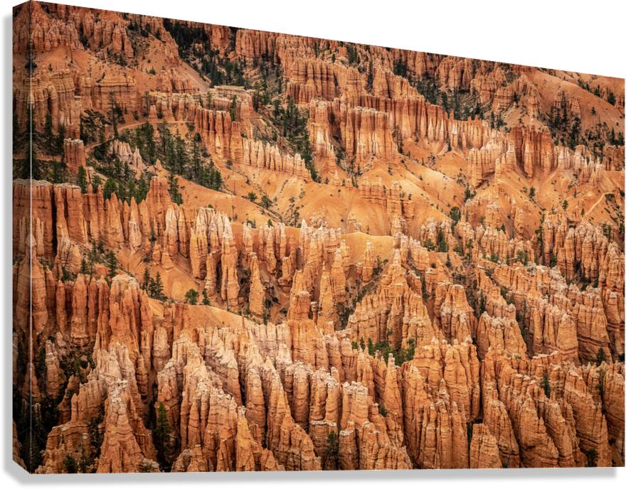Hoodoos Over Utah Canvas Print