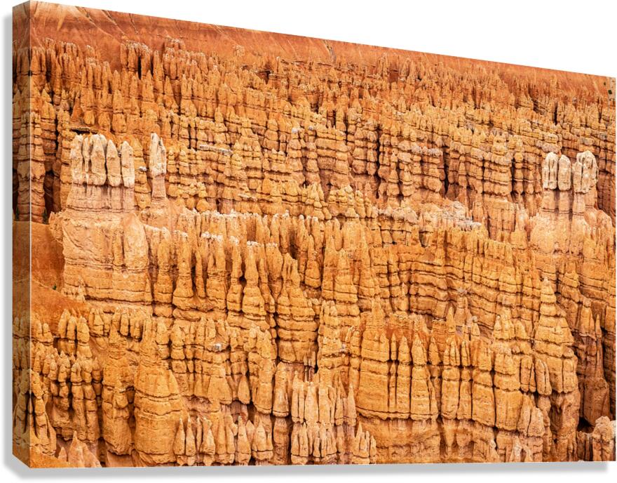 Hoodoo Nation Canvas Print