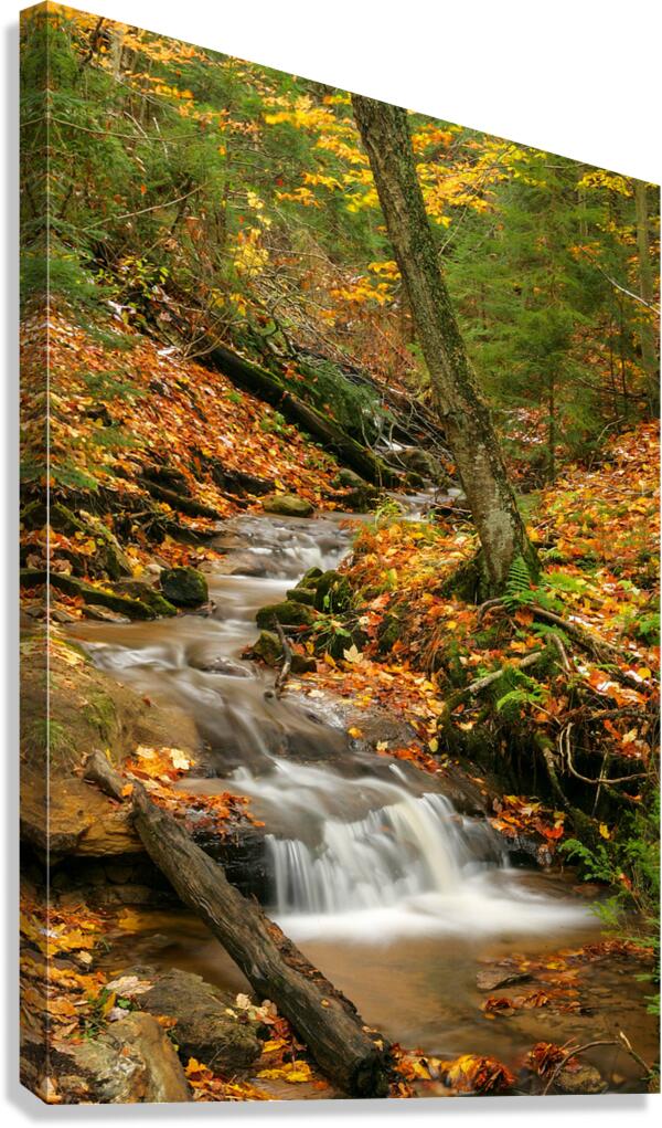 Streams of Michigan Canvas Print