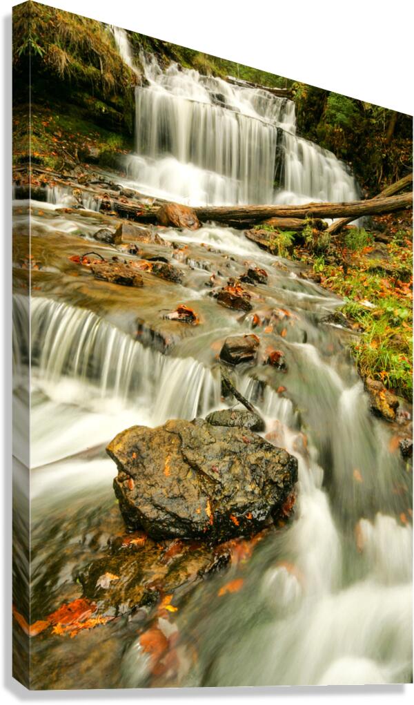 Splendors of Fall Canvas Print