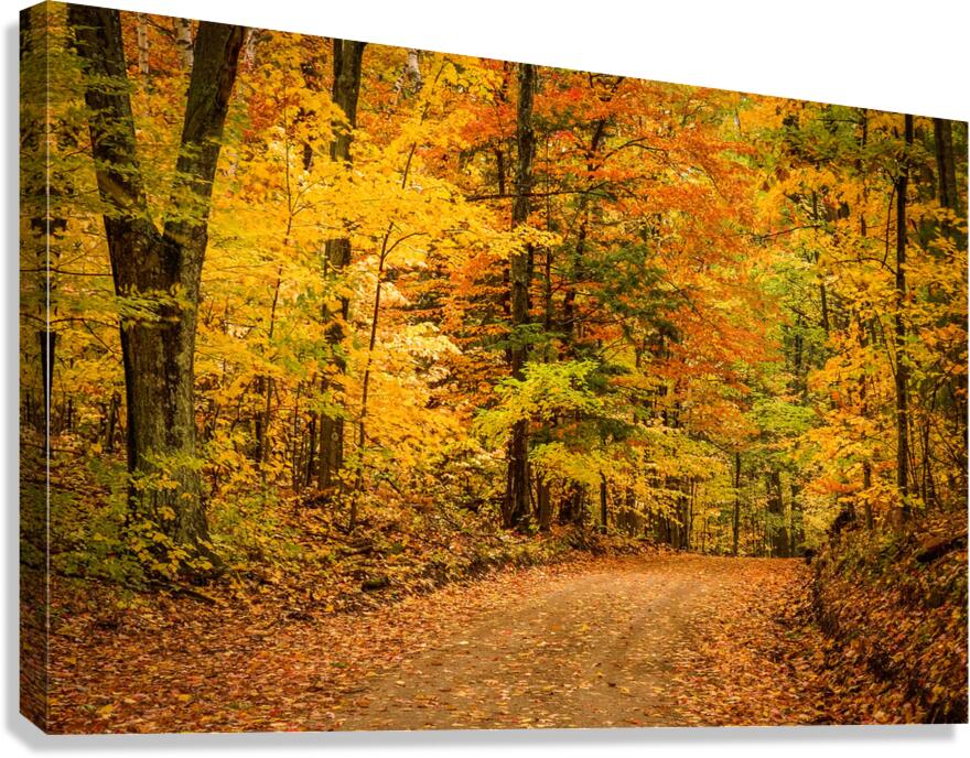 Road to Fall Canvas Print