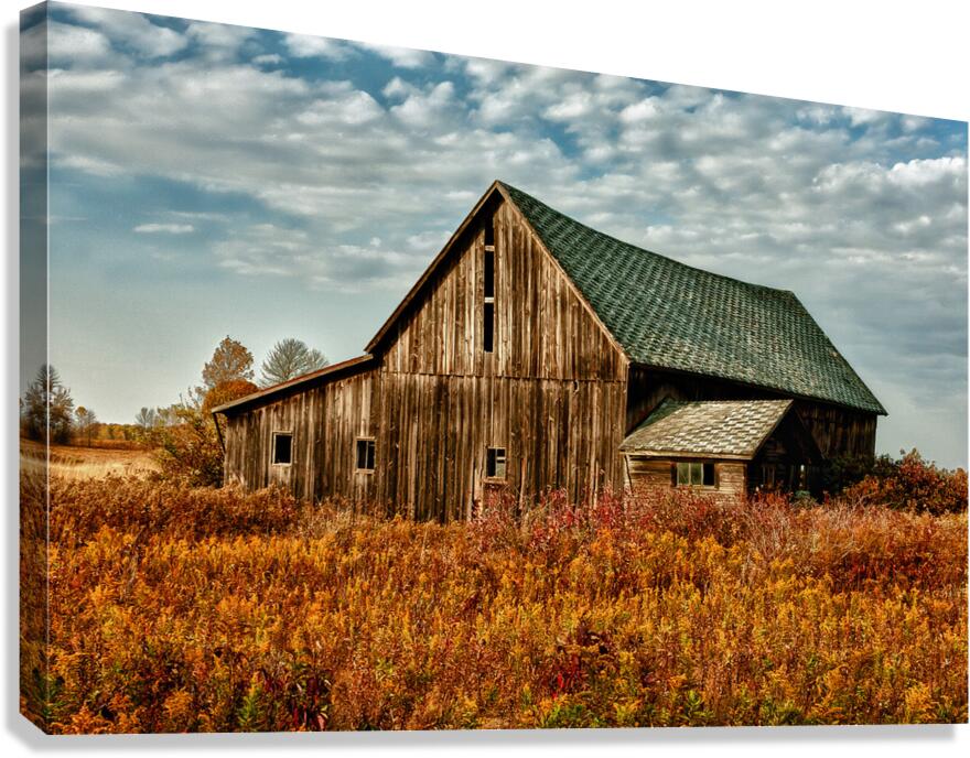 Barn For The Ages Canvas Print