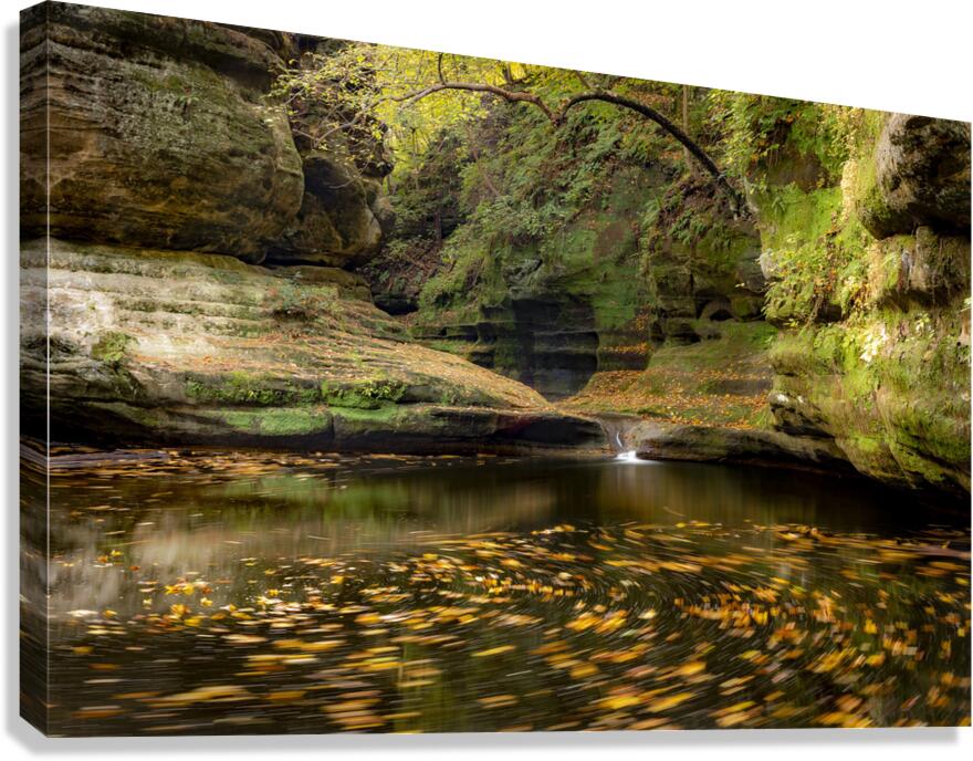 Fall In the Canyon Canvas Print
