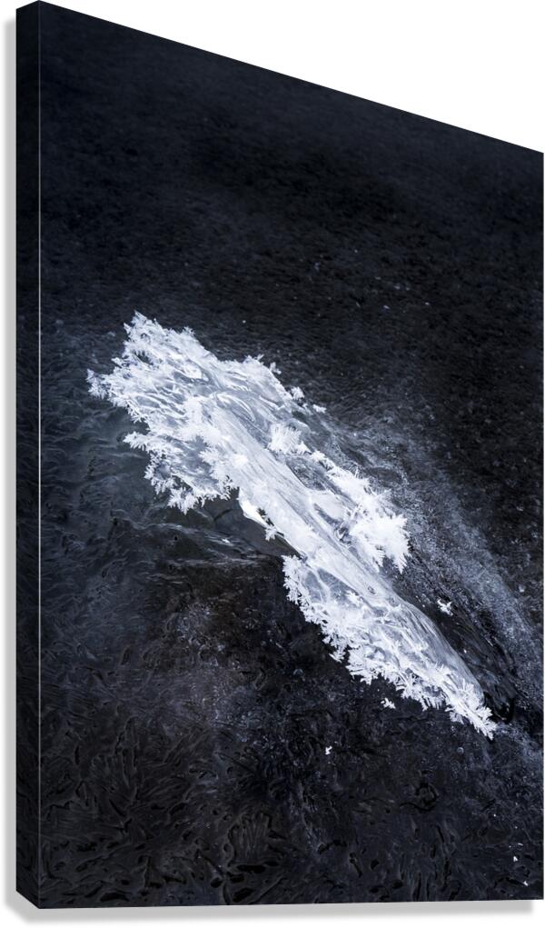 Ice Art Canvas Print