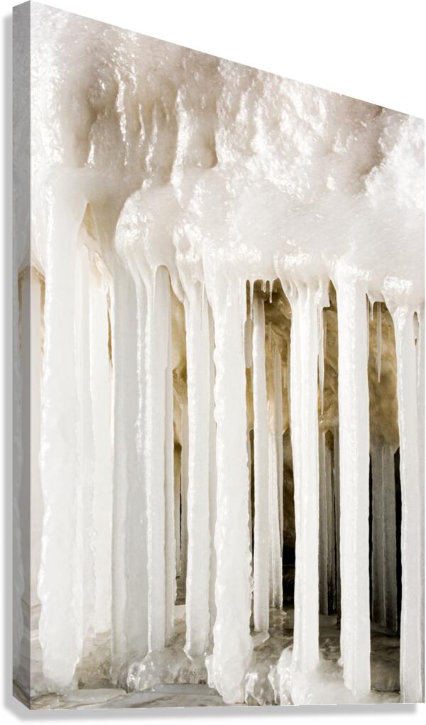 ICE JAIL Canvas Print